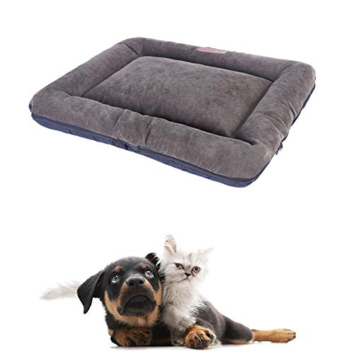 Shulishishop Kuscheldecke Hund Hundedecken Waschbar Weiche Katze Mat Haustier-Auflage Kätzchenbett Hundebettwäsche Flauschige Katze Mat Weiches Tierarztbett Gray,M Shulishishop Kuscheldecke Hund Hundedecken Waschbar Weiche Katze Mat Haustier-Auflage Kätzchenbett Hundebettwäsche Flauschige Katze Mat Weiches Tierarztbett Gray,M von Shulishishop