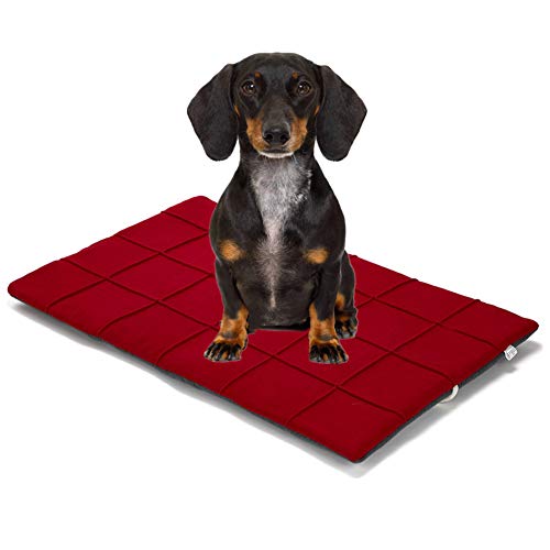 Shulishishop Kuscheldecke Hund Hundedecken Welpen Matten Weiches Tierarztbett Kätzchenbett Hundebett Zubehör Waschbares Hundebett Haustierbett Haustier-Auflage red,S Shulishishop Kuscheldecke Hund Hundedecken Welpen Matten Weiches Tierarztbett Kätzchenbett Hundebett Zubehör Waschbares Hundebett Haustierbett Haustier-Auflage red,S von Shulishishop