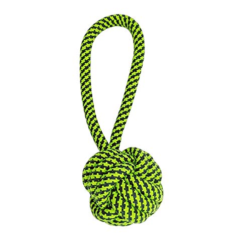 Shulishishop Welpenspielzeug Hundespielzeug Seil Hundespielzeug Hundeseil Spielzeug Welpen Kauspielzeug Welpe Kinderkrankheiten Spielzeug Hundespielzeug Seil von Shulishishop