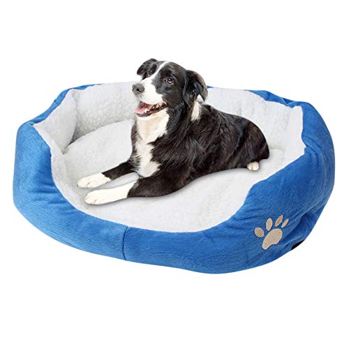 Shulishishop hundebett Grosse Hunde hundebett kleine Hunde Haustiernest Haustierbetten Für Katzen Kätzchenbett Flauschiges Hundebett Günstige Hundebetten Blue,60 * 50cm von Shulishishop