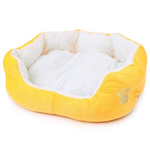 Shulishishop hundebett Grosse Hunde hundebett kleine Hunde Haustiernest Haustierbetten Für Katzen Kätzchenbett Flauschiges Hundebett Günstige Hundebetten golden,50 * 40cm von Shulishishop