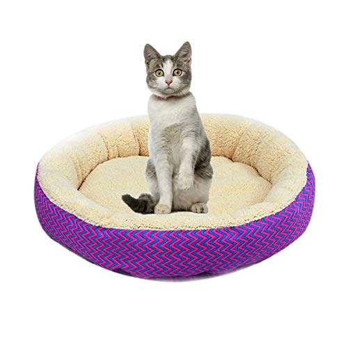 Shulishishop hundebett kleine Hunde hundebett Grosse Hunde Ovales Hundebett Haustierbetten Für Hunde Plüsch Hundebett Haustierbetten Für Katzen red,M Shulishishop hundebett kleine Hunde hundebett Grosse Hunde Ovales Hundebett Haustierbetten Für Hunde Plüsch Hundebett Haustierbetten Für Katzen red,M von Shulishishop