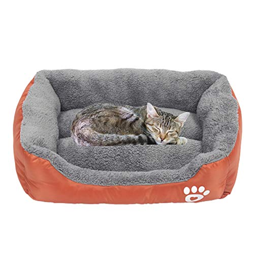 Shulishishop katzenbett hundebett kleine Hunde Haustierbetten Für Katzen Hundebett Flauschiges Hundebett Flauschiges Katzenbett Hundekomfortbett orange,XXL Shulishishop katzenbett hundebett kleine Hunde Haustierbetten Für Katzen Hundebett Flauschiges Hundebett Flauschiges Katzenbett Hundekomfortbett orange,XXL von Shulishishop