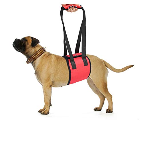 Tragehilfe Für Hunde Hundegeschirr Hundeschlingen für kleine Hunde Hundetraggeschirr für Treppen hoch und runter Gehhilfe für Haustiere red,m von Shulishishop