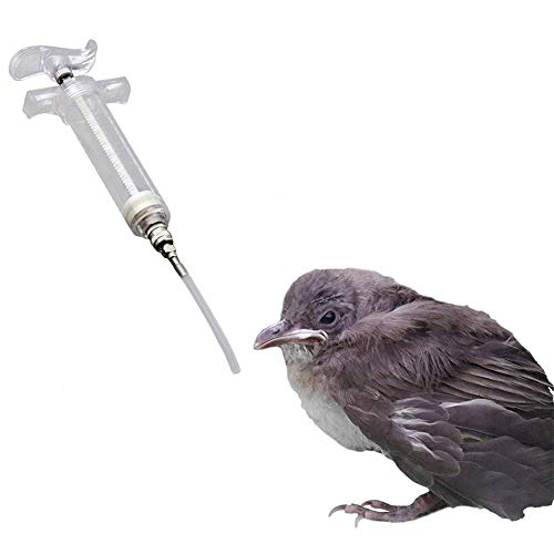 Vogelfutterspender Spritze Vogelfütterung Nymphensittich Feeder Spritze Wellensittich Feeder Vogel Wasserspender Papageienfutterautomat 50ml,3mm*5cm Tube Vogelfutterspender Spritze Vogelfütterung Nymphensittich Feeder Spritze Wellensittich Feeder Vogel Wasserspender Papageienfutterautomat 50ml,3mm*5cm Tube von Shulishishop