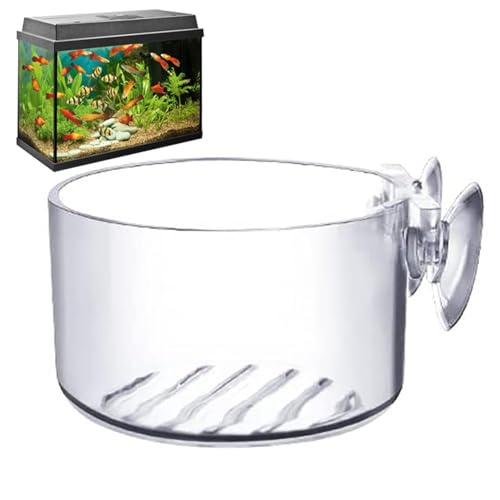 Acryl-Wasserpflanzen-Becher, Wasserpflanzentopf, Becherständer, elegante Optik, Dekorationswerkzeug für Salz- und Süßwasser-Aquarien Acryl-Wasserpflanzen-Becher, Wasserpflanzentopf, Becherständer, elegante Optik, Dekorationswerkzeug für Salz- und Süßwasser-Aquarien von Shurzzesj