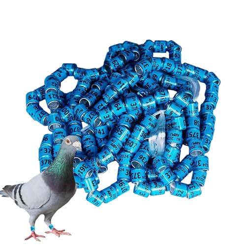 Multicolor Aluminium Taubenbeinringe, 50 Stück Taubenbeinringe Identifizieren Bänder, Training Identifizieren Sie Vögel Fußringe, GeflüGel FußRinge Tauben FußRinge, Brieftaubenfuß , Geflügel Band von Shurzzesj