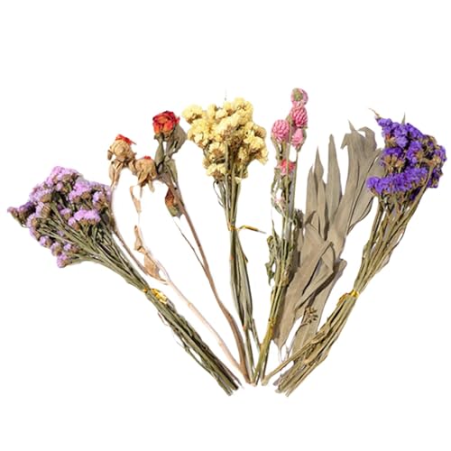 Natürliche und weiche Hamster-Bettwäsche Mate Natürliche Hamster-Bettwäsche Blumen Kleintier-Blumen Lebensraum Natürliches Thema Käfig Hamster Bettwäsche Blumen Hamster Blumenbettwäsche Hamster Natürliche und weiche Hamster-Bettwäsche Mate Natürliche Hamster-Bettwäsche Blumen Kleintier-Blumen Lebensraum Natürliches Thema Käfig Hamster Bettwäsche Blumen Hamster Blumenbettwäsche Hamster von Shurzzesj