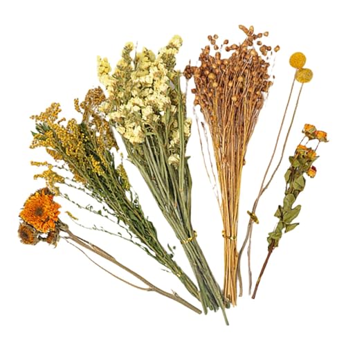 Natürliche und weiche Hamster-Bettwäsche Mate Natürliche Hamster-Bettwäsche Blumen Kleintier-Blumen Lebensraum Natürliches Thema Käfig Hamster Bettwäsche Blumen Hamster Blumenbettwäsche Hamster Natürliche und weiche Hamster-Bettwäsche Mate Natürliche Hamster-Bettwäsche Blumen Kleintier-Blumen Lebensraum Natürliches Thema Käfig Hamster Bettwäsche Blumen Hamster Blumenbettwäsche Hamster von Shurzzesj