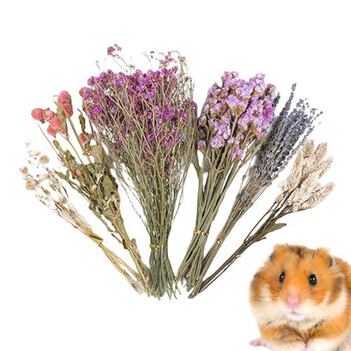 Natürliche und weiche Hamster-Bettwäsche Mate Natürliche Hamster-Bettwäsche Blumen Kleintier-Blumen Lebensraum Natürliches Thema Käfig Hamster Bettwäsche Blumen Hamster Blumenbettwäsche Hamster Natürliche und weiche Hamster-Bettwäsche Mate Natürliche Hamster-Bettwäsche Blumen Kleintier-Blumen Lebensraum Natürliches Thema Käfig Hamster Bettwäsche Blumen Hamster Blumenbettwäsche Hamster von Shurzzesj