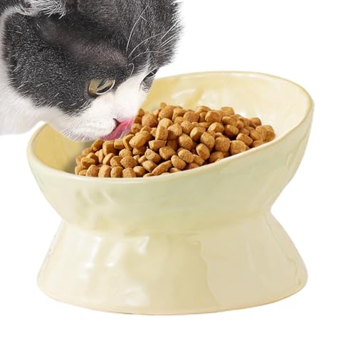 Shurzzesj Gekippter Katzenwassernapf, erhöhter Katzenfutternapf - Gekippte Futternapf-Wassernäpfe - Wiederverwendbarer, geneigter Futternapf für kleine Katzen und Kätzchen im Innenbereich Shurzzesj Gekippter Katzenwassernapf, erhöhter Katzenfutternapf - Gekippte Futternapf-Wassernäpfe - Wiederverwendbarer, geneigter Futternapf für kleine Katzen und Kätzchen im Innenbereich von Shurzzesj