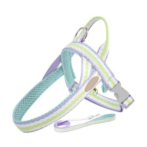 Shurzzesj Hundegeschirr mit Gurt,Hundegeschirr und Gurt | Verstellbares Haustiergeschirr-Set - Verstellbares Hundeauslaufgerät mit Knopfdesign für Camping, Picknick, täglichen Spaziergang, Shurzzesj Hundegeschirr mit Gurt,Hundegeschirr und Gurt | Verstellbares Haustiergeschirr-Set - Verstellbares Hundeauslaufgerät mit Knopfdesign für Camping, Picknick, täglichen Spaziergang, von Shurzzesj