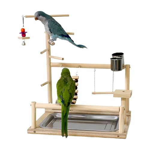 Shxupjn Sitzstange für Papageien, natürliches, Vogelspielzeug, Holzstange, Laufstall, Leiter, Vogel-Papageien-Spielständer, Spielstudio, buntes Vogelspielzeug für Nymphensittiche, Wellensittiche Shxupjn Sitzstange für Papageien, natürliches, Vogelspielzeug, Holzstange, Laufstall, Leiter, Vogel-Papageien-Spielständer, Spielstudio, buntes Vogelspielzeug für Nymphensittiche, Wellensittiche von Shxupjn