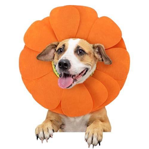 Shyyween Haustier-Sonnenblumenhut, Halloween, orangefarbene Sonnenblume, Haustierkostüm für Hund, Katze, Welpen, Verkleidung, Blumenhut, niedlicher Tier, Hund, Katze, Kappe (klein) von Shyyween