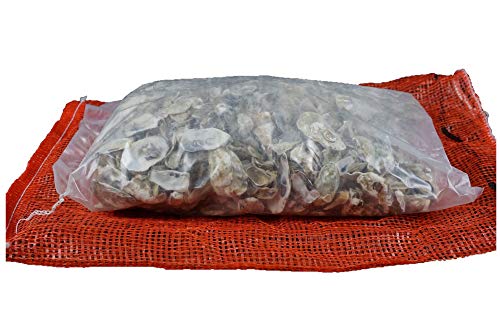 Sibo/ Aquaforte 10 KG Austernschalen für Teich und Aquarienfilter der KH und PH Stabilisator Sibo/ Aquaforte 10 KG Austernschalen für Teich und Aquarienfilter der KH und PH Stabilisator von Sibo/ Aquaforte