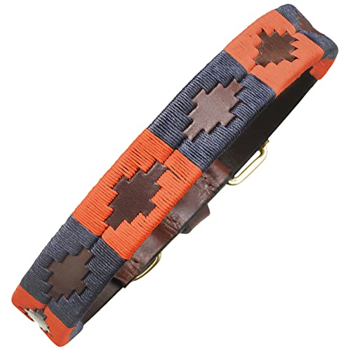 SideWinder Hundehalsband, Hund Zubehör, echtes Leder, handgefertigt, für kleine und große Hunde SideWinder Hundehalsband, Hund Zubehör, echtes Leder, handgefertigt, für kleine und große Hunde von Sidewinder
