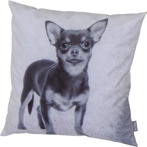 Siena Home Dekokissen ORA, Dessin Chihuahua Velvet 100% Polyester, Dessin 309-Chihuahua von Siena Home