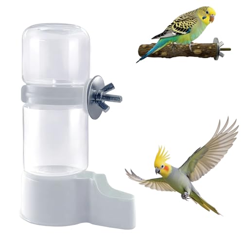 Automatischer Wasserspender für Vögel, Vogelkäfig, Trinkgerät, automatischer Papageien-Wasserspender, Wellensittiche, Vögel, Liebesvögel, Kanarienvögel, Trinkbrunnen von Sienle