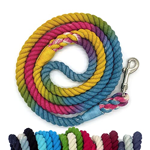 Sier 1,5 m Ombre-Seil für Hunde, geflochtene Baumwolle, strapazierfähig, robust, langlebig, mehrfarbig (Regenbogenfarben) von Sier