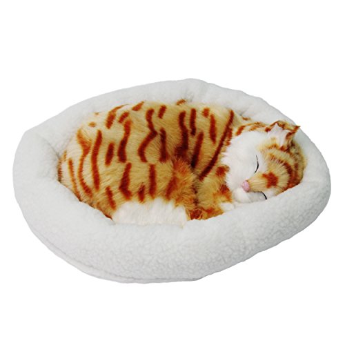 Signstek niedlich lebensecht schlafende Plüschtiere mit Haustierbett (Katze 2) von Signstek