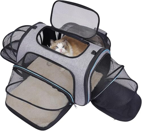 Erweiterbare Transporttasche Katze, Welpen, Öffnung an 4 Seiten, erweiterbar, Flugzeug-genehmigt, reisefreundlich, faltbar, weiches Fleece-Bett für Haustiere, Transportbox, 45x28x28cm Erweiterbare Transporttasche Katze, Welpen, Öffnung an 4 Seiten, erweiterbar, Flugzeug-genehmigt, reisefreundlich, faltbar, weiches Fleece-Bett für Haustiere, Transportbox, 45x28x28cm von Siivton