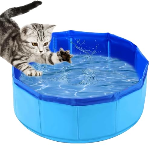 Sikweny Hundepool Klein Faltbar Mini Planschbecken 30 X 10CM Hunde Pool Tragbar Dog Pool Klein Katzenpool Verschleißfest Hundeplanschbecken Auslaufsicher für Balkon Terrasse Badezimmer Sikweny Hundepool Klein Faltbar Mini Planschbecken 30 X 10CM Hunde Pool Tragbar Dog Pool Klein Katzenpool Verschleißfest Hundeplanschbecken Auslaufsicher für Balkon Terrasse Badezimmer von Sikweny