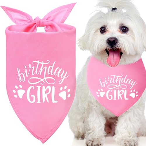 SilTriangle 12 Stück Geburtstagstücher für Mädchen und Hunde, rosa Halstücher für Hunde mit Nähen, Dreieckstuch für Welpen, kleine, mittelgroße und große Haustiere, Kostüm-Zubehör SilTriangle 12 Stück Geburtstagstücher für Mädchen und Hunde, rosa Halstücher für Hunde mit Nähen, Dreieckstuch für Welpen, kleine, mittelgroße und große Haustiere, Kostüm-Zubehör von SilTriangle