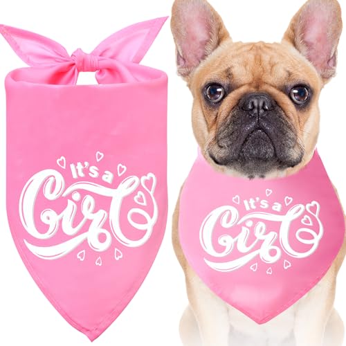 SilTriangle Hundehalstücher mit Aufschrift "It's a Girl", Dreieckstuch für Welpen, kleine, mittelgroße und große Haustiere, 12 Stück SilTriangle Hundehalstücher mit Aufschrift "It's a Girl", Dreieckstuch für Welpen, kleine, mittelgroße und große Haustiere, 12 Stück von SilTriangle