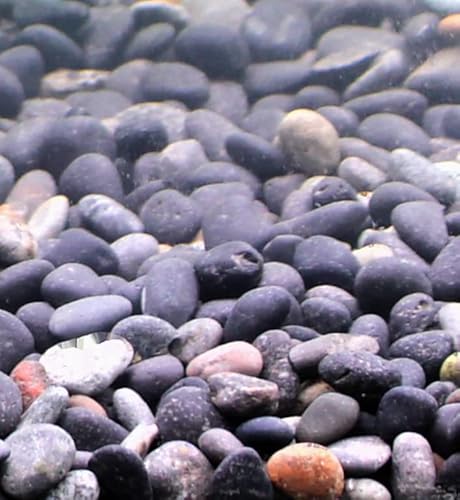 Silbermann Dark Gravel, dunkler Aquarienkies für Meer- und Süßwasser, 5-8mm Körnung, 10kg von Silbermann