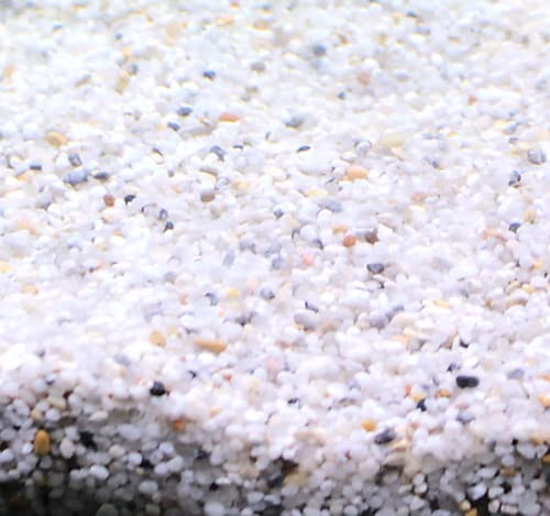 Silbermann Natural Gravel, Heller Aquarienkies, 2-4ml Körnung, 15kg von Silbermann