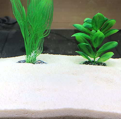 Silbermann Ocean White Perls, weißer kalkhaltiger Bodengrund für Meerwasser und Süßwasser Aquarium und Terrarium, Aquarienkies, Aquariensand 0,5-2 mm Körnung, 15 kg von Silbermann