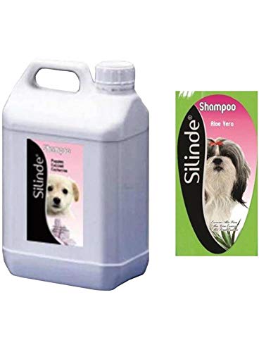 Silinde PT50614 Universal-Shampoo Aloe Vera, 5 l von Silinde