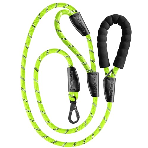 Robuste Hundeleine, 2 Griffe, extra gepolstert, abschließbarer Metall-Karabinerclip, stark reflektierende Hundeleine für Sicherheit, Hundeleine für mittelgroße und große Hunde, Grün Robuste Hundeleine, 2 Griffe, extra gepolstert, abschließbarer Metall-Karabinerclip, stark reflektierende Hundeleine für Sicherheit, Hundeleine für mittelgroße und große Hunde, Grün von SilisoundTek