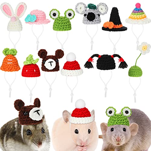 Silkfly Mini-Hüte für Schlangen, Kleintiere, Meerschweinchen, Ratten, Eidechsen, Hamster, Bartagamen, niedliche kleine Haustiermützen, Urlaubs- und Party-Kostüm-Zubehör, 12 Stück von Silkfly