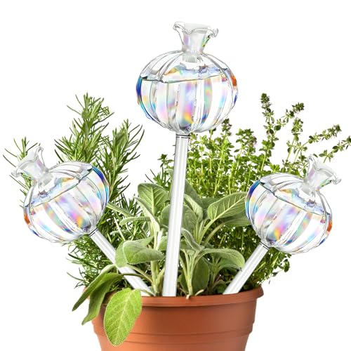 3 Stück Glas Bewässerungsspieß, Bunte Bewässerungskugeln für Pflanzen, Bewässerungskugeln Glas, Automatische Bewässerungsspieße für Pflanzen Im Innen- und 3 Stück Glas Bewässerungsspieß, Bunte Bewässerungskugeln für Pflanzen, Bewässerungskugeln Glas, Automatische Bewässerungsspieße für Pflanzen Im Innen- und von Silkwish