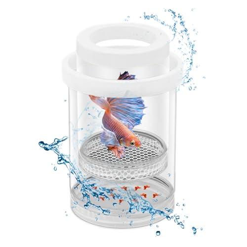 Aufzuchtbecken Aquarium mit Laichkasten - Silkwish Ablaichkasten für Babyfische - Babybecken Zuchttanks für Garnelen, Clownfische und Guppys - Acryl Fisch-Isolationsbox (123 x 85 x 73mm) von Silkwish