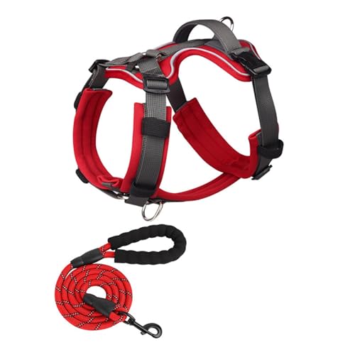 Haustierbedarf Haustiergeschirr Hundegeschirre Hundewestengeschirr Hundegeschirr mit Leine Haustierwestengeschirr Haustierbedarf Weste-Stil Seil Haustierbedarf,B-XLarge Haustierbedarf Haustiergeschirr Hundegeschirre Hundewestengeschirr Hundegeschirr mit Leine Haustierwestengeschirr Haustierbedarf Weste-Stil Seil Haustierbedarf,B-XLarge von SilteD
