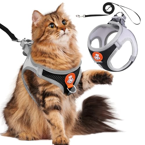 SilverChry Katzengeschirr mit Leine Ausbruchsicher, Katzenleine Set mit Leine, Katzengeschirr Kitten Verstellbar Weich Kätzchenweste mit Reflektierenden Streifen Katzen und Kleine Hunde (S-Schwarz) von SilverChry