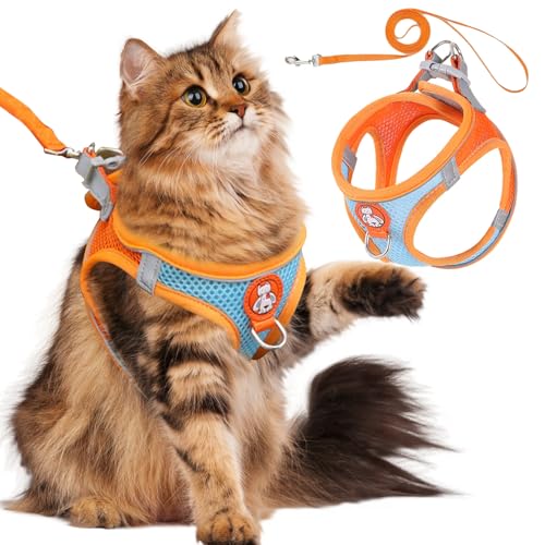 SilverChry Katzengeschirr mit Leine Ausbruchsicher, Katzenleine Set mit Leine, Katzengeschirr Kitten Verstellbar Weich Kätzchenweste mit Reflektierenden Streifen für Katzen und Kleine Hunde (M) von SilverChry