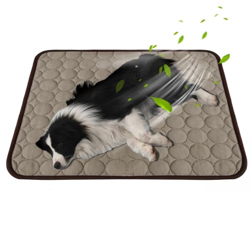 SilverChry Kühlmatte Für Hunde, Kühldecke Hund, Kühlmatte Katze, Ungiftige Kühlpads für Haustiere, Waschbare Kühlmatte Für Haustier (Curry-XL) von SilverChry