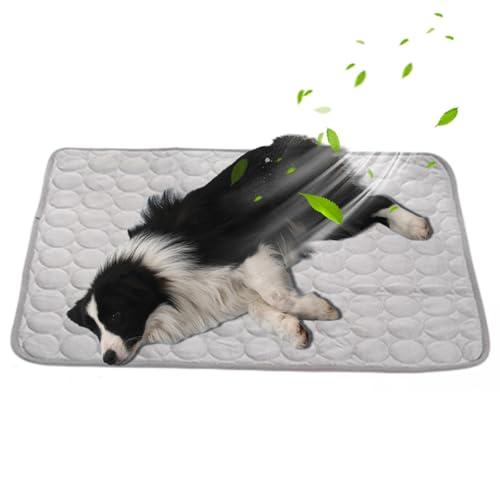 SilverChry Kühlmatte Für Hunde, Kühldecke Hund, Kühlmatte Katze, Ungiftige Kühlpads für Haustiere, Waschbare Kühlmatte Für Haustier (Hellgrau-XXL) von SilverChry