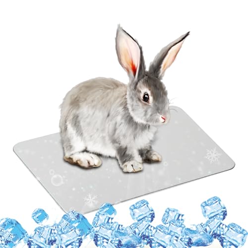 SilverChry Kühlplatte Aluminiumlegierung, 30*20cm Kühlmatte für Haustiere, Pet Cooling Mat, Sommer-Eisbett zum Kühlen Haustieren, zum Kühlen Meerschweinchen, Hamstern, Kaninchen und Anderen Haustieren SilverChry Kühlplatte Aluminiumlegierung, 30*20cm Kühlmatte für Haustiere, Pet Cooling Mat, Sommer-Eisbett zum Kühlen Haustieren, zum Kühlen Meerschweinchen, Hamstern, Kaninchen und Anderen Haustieren von SilverChry
