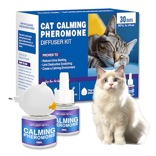 SilverChry Pheromone Katzen Diffusor Kit 2Pcs, Katzen Beruhigungsmittel, Katzen Duftstecker, Pheromone Katzen Steckdose 48ML - zur Rollige Katzen beruhigung, Reduziert Markieren, Kratzen, Verstecken SilverChry Pheromone Katzen Diffusor Kit 2Pcs, Katzen Beruhigungsmittel, Katzen Duftstecker, Pheromone Katzen Steckdose 48ML - zur Rollige Katzen beruhigung, Reduziert Markieren, Kratzen, Verstecken von SilverChry