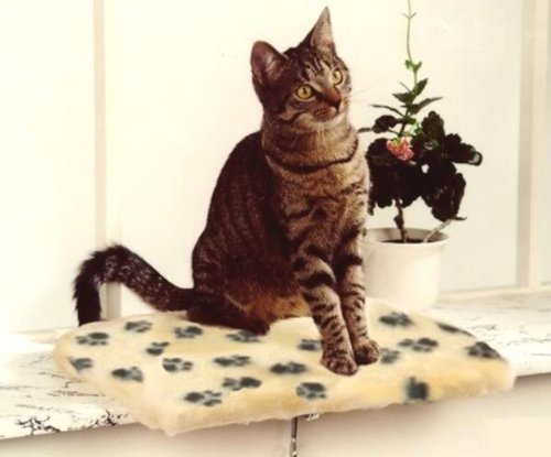 Silvio Design Katzen-Fensterliege Jacquard Plüsch beige mit Pfote braun von Silvio Design