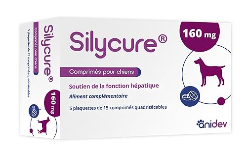 ANIDEV - Silycure 160 MG – Silybin-Zufuhr – Nahrungsergänzungsmittel für Hunde und Katzen – Box mit 5 x 15 CPS von Silycure