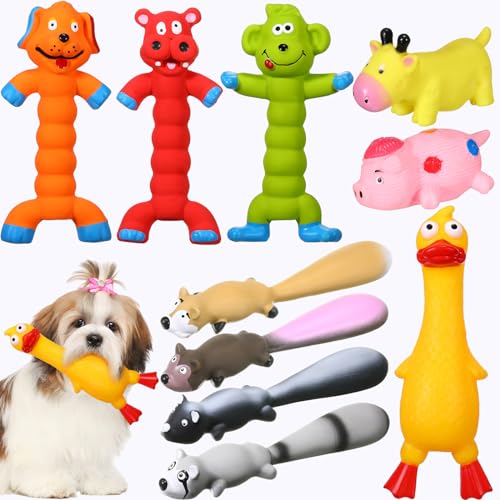 Simgoing Quietschspielzeug für Hunde, aus weichem Gummi, Hundespielzeug, Kauspielzeug, quietschendes Spielzeug, Welpen, interaktives Spielspielzeug für Welpen, kleine, mittelgroße Haustiere, 10 Stück von Simgoing