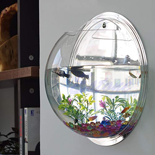 SimpleLife Blumentopf, Wandmontage, Blase, Aquarium, Dekoration für zu Hause von SimpleLife