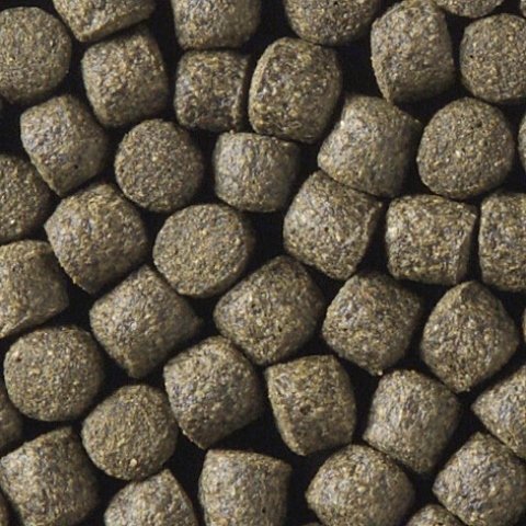 15kg Coppens Koi-Spirulina 6mm Koifutter von Simply Natural