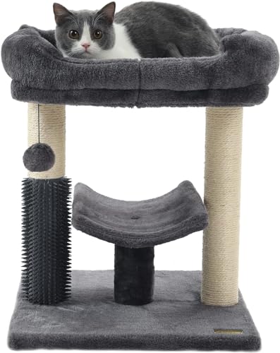 Klettergerüst für Katzen, Kratzbaum für Indoor-Katzen, mit super gemütlicher Sitzstange, Katzen-Selbstpfleger und interaktivem baumelnden Ball, ideal für Kätzchen und Katzen von SinSed