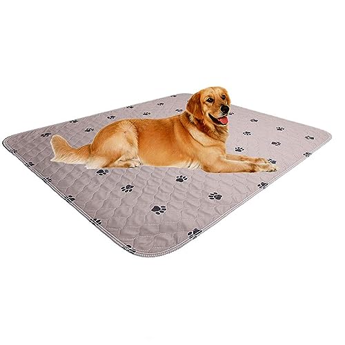 Waschbare Hunde-Urinier-Pads mit Welpenpflegehandschuhen, Welpenpolster, Wiederverwendbare Haustier-Trainingspads, großes Hunde-Pad, wasserdichte Haustier-Pads für Hundebett-Matte Waschbare Hunde-Urinier-Pads mit Welpenpflegehandschuhen, Welpenpolster, Wiederverwendbare Haustier-Trainingspads, großes Hunde-Pad, wasserdichte Haustier-Pads für Hundebett-Matte von SincoPet